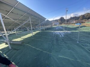 5DB7A569-532F-4B66-B489-57C10D30E59E